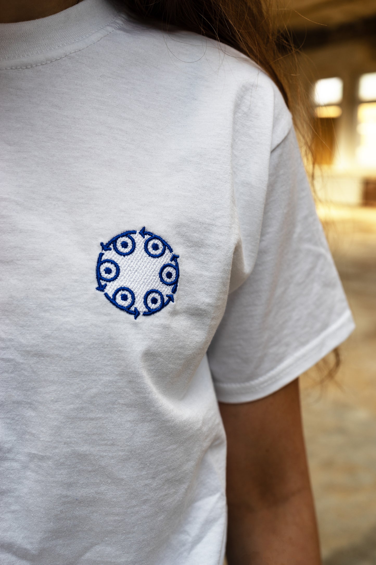 Pittlerwerke T-Shirt