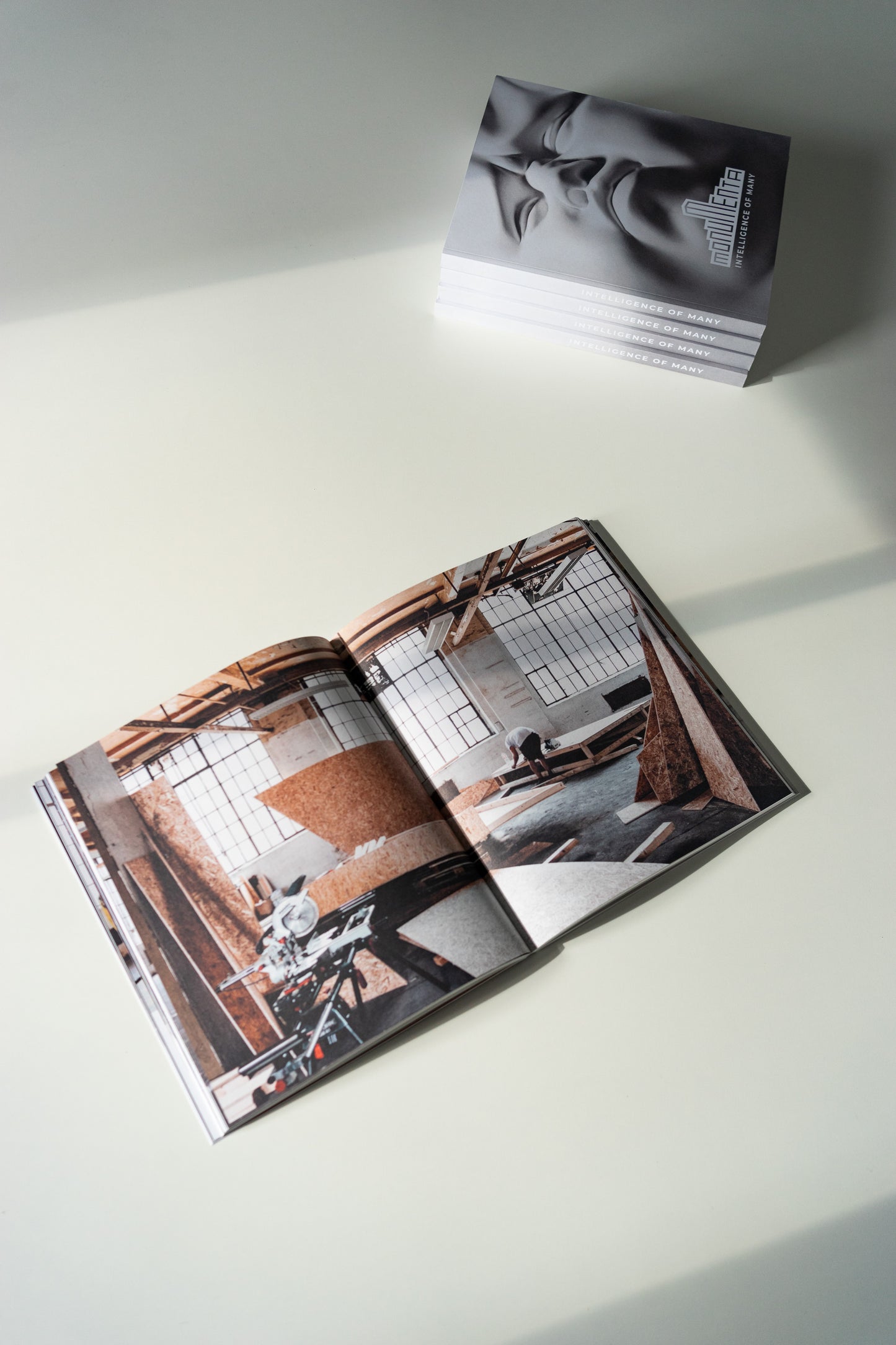 Monumenta Katalog 2018